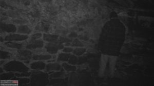 The Blair Witch Project (1999) Review - Found Footage Critic