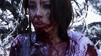 Monsters in the Woods (2012) - Found Footage Film Fanart