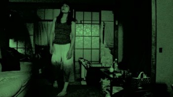 Paranormal Effect (2010) - Found Footage Film Fanart (Found Footage Horror)