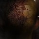 Afflicted (2013) - Found Footage Films Movie Poster (Found footage Horror)