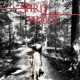 Spirit in the Woods (2014) - Found Footage Films Movie Poster (Found Footage Horror)