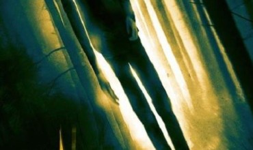 Slender (2016) - Found Footage Films Movie Poster (Found Footage Horror)(