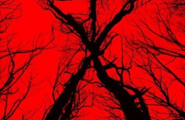 Blair Witch (2016) - Found Footage Films Movie Poster (Found Footage Horror)