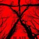 Blair Witch (2016) - Found Footage Films Movie Poster (Found Footage Horror)