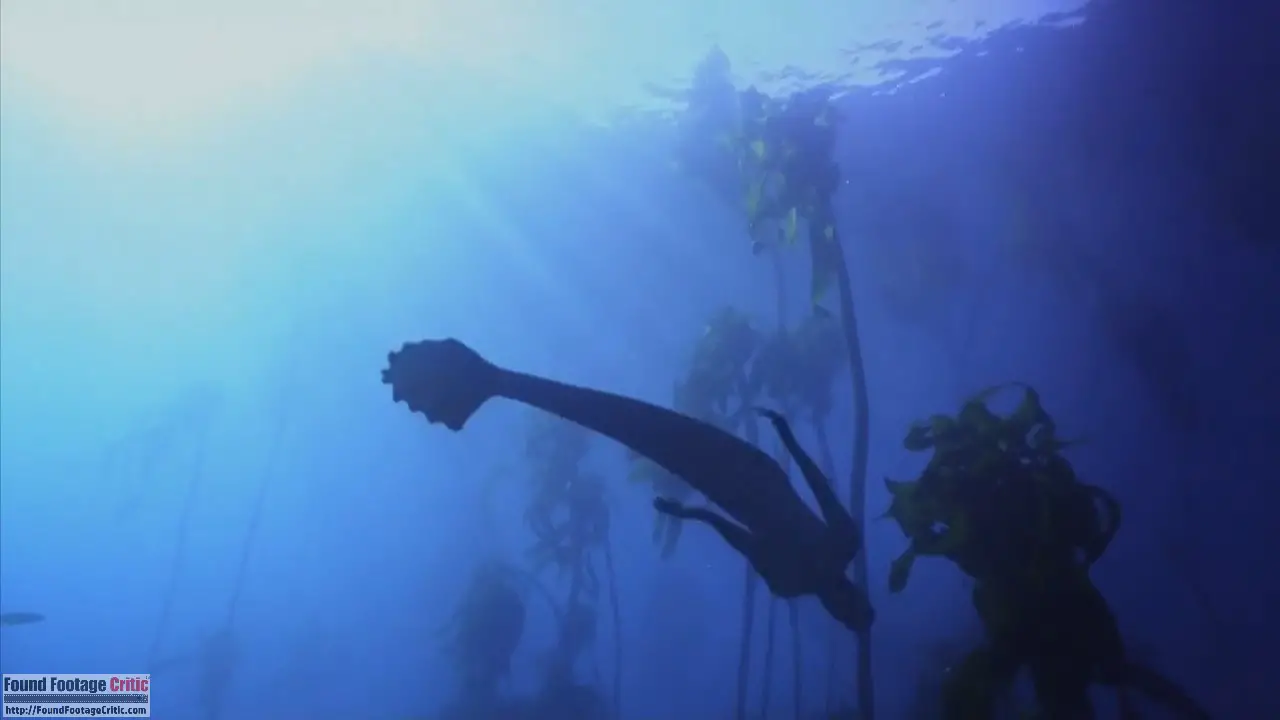 Mermaids: The Body Found (2012) - Found Footage Films Movie Fanart (Found Footage Horror)