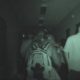 Hotel Camarillo (2014) - Found Footage Films Movie Fanart (Found Footage Horror Movies)