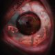 Deprivation (2019) - Found Footage Films Movie Poster (Found Footage Horror Movies)