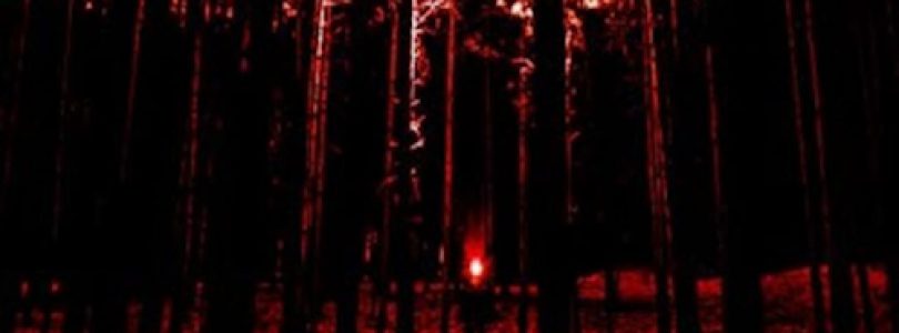 Wolfwood (2020) - Found Footage Films Movie Poster (Found Footage Horror Movies)