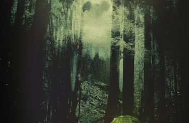 The Woods (2013) - Found Footage Films Movie Poster (Found Footage Thriller Movies)