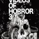 Tokyo Videos of Horror 3 (2012) - Found Footage Films Movie Poster (Found Footage Horror)