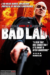 Diary of a Bad Lad (2010) - Found Footage Films Movie Poster (Found Footage Drama)