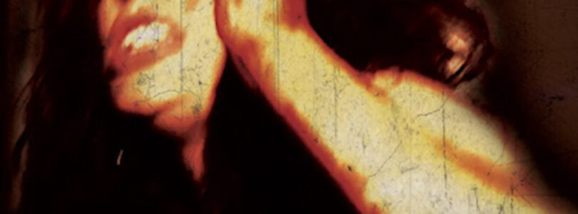 Last Girl (2013) - Found Footage Films Movie Poster (Found Footage Horror)