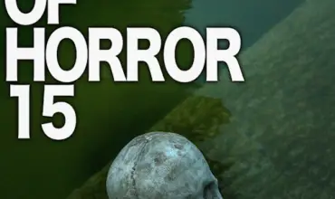 Tokyo Videos of Horror 15 (2016) - Found Footage Films Movie Poster (Found Footage Horror)