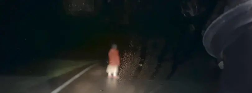 Dashcam (2021) - Found Footage Films Movie Fanart (Found Footage Horror Movies)