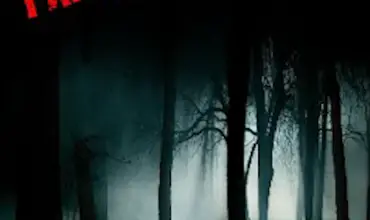 Paranormal Night (2014) - Found Footage Films Movie Poster (Found Footage Horror Movies)