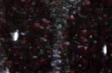 They Take Us (2011) - Found Footage Films Movie Poster (Found Footage Horror Movies)
