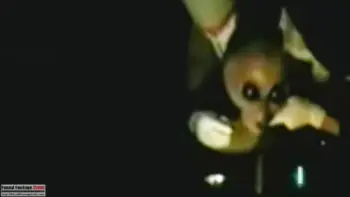 Area 51: The Alien Interview (1997) - Found Footage Films Movie Fanart (Found Footage Sci-Fi Movies)