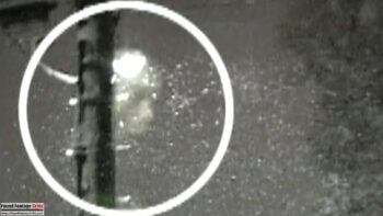 Really! Cursed Video Ver X: 3 (2002) - Found Footage Films Movie Fanart (Found Footage Horror Movies)