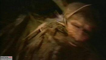 Jacaranda Joe (1994) - Found Footage Films Movie Fanart (Found Footage Horror Movies)