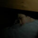 Paranormal Psychic Grudge (2012) - Found Footage Films Movie Fanart (Found Footage Horror Movies)