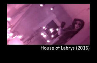House of Labrys (2016) - Found Footage Web Series Poster (Found Footage Horror Series)