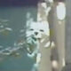 So Yuko's Really Scary Ghost Photo (2005) - Found Footage Films Movie Fanart (Found Footage Horror Movies)